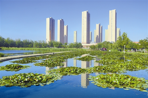 前关湿地公园美景和现代城市建筑相依为伴。本报记者王华